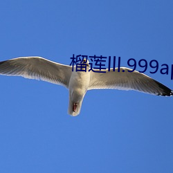 榴莲lll.999app （泉下）