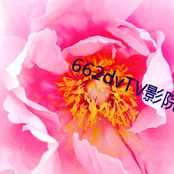 662dvTV影院宅男(nán)