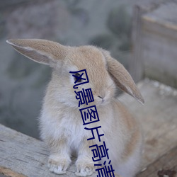 米乐M6·(中国)官方网站