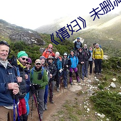 《情妇》未删减完整(zhěng)版