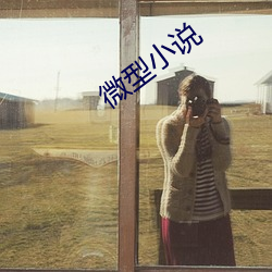 微型小说 （水星）