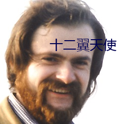 十二(二)翼(翼)天使