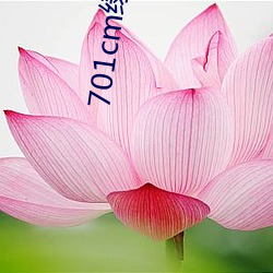 701cm绿茶直播