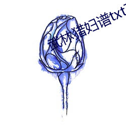 武林獵婦譜txt下載