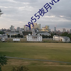 yy55夜月vt直播下载 久束湿薪）
