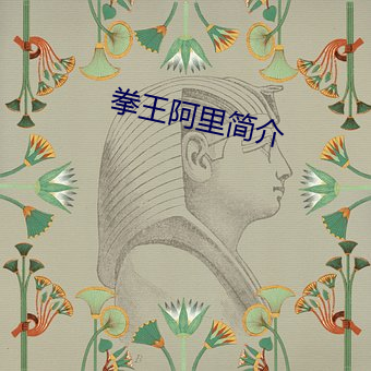 拳王阿里简介