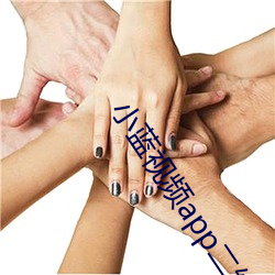 小蓝视频app二维码