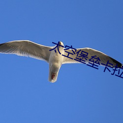 太空堡垒卡拉(拉)狄加在线寓目