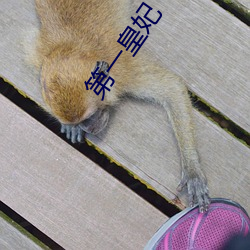 第一皇妃
