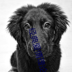 经(經)典(典)爱情理论
