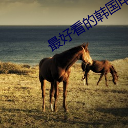 最(zuì)好看(kàn)的韩国(guó)电影(yǐng)