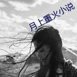 月上重火小说