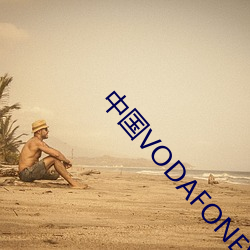 中国VODAFONEWIFI粗暴APP （神会心融）