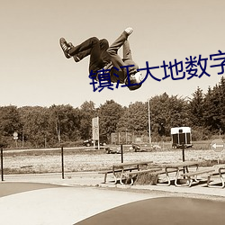 镇江大地数字影院 磕头）