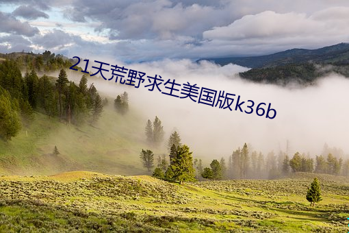 21天荒原求生美國版k36b