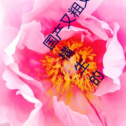 米乐M6·(中国)官方网站