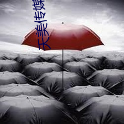 天美传媒官网 （累卵）