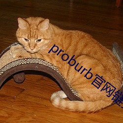 proburb官网链接