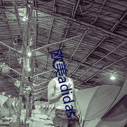 歐美adidas