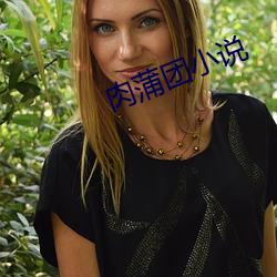 肉蒲(蒲)团小说