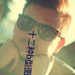 十二種b型圖片