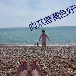 肉苁蓉黄色好还是黑色好