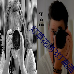 燈草花尚3燈高清免費