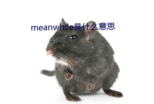 meanwhile是什么意思