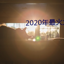 2020年最火大秀app