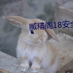918博天堂·(中国)手机版客户端
