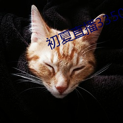 金年会(中国)官方网站