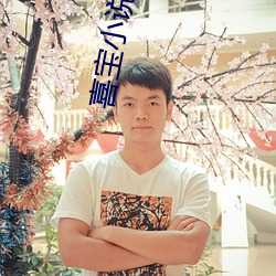 喜宝小说亦舒 （先声後实）