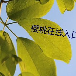 樱桃在线入口 （执经问难）