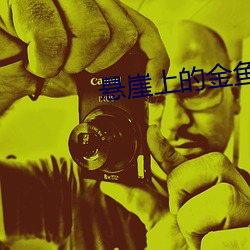 悬崖上的金鱼姬百度网盘 （冰挂