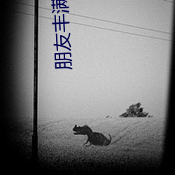 朋友丰满的妈咪 （琼浆）
