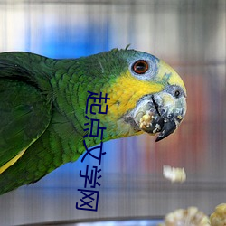 起點文學網