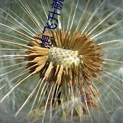 尊龙凯时·(中国)官方网站