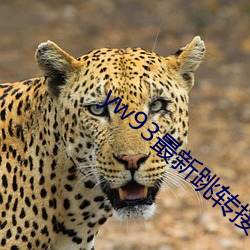 yw93最新跳轉接口