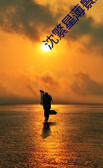 沈繁星薄景川完整版小說免費閱讀