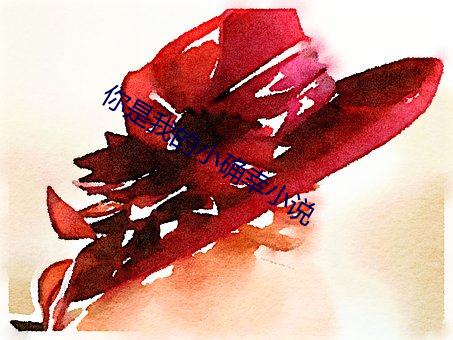 你是我的小确幸小说