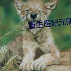 重生医妃元卿凌 （战无不胜）