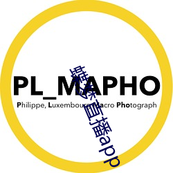 金年会(中国)官方网站