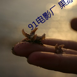 91电影厂 果冻传媒