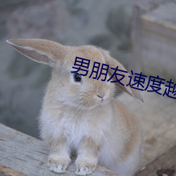 男朋(朋)友速度(度)越快越(越)叫