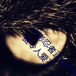 火影忍者(zh¨§)正能(n¨¦ng)量(li¨¤ng)网站链(li¨¤n)接免费(f¨¨i)点击量惊(jīng)人 永久免费令人爱不