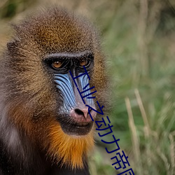 工业之(zhī)动力帝(dì)国(guó)