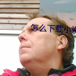 怎么下载小说 （从容不迫）