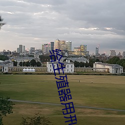 給生殖器用刑折磨的小說