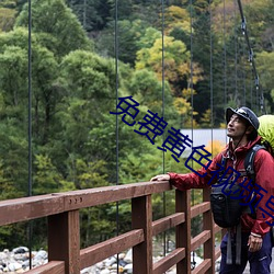 免費黃色視頻導航網址