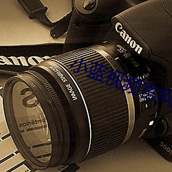 小蓝视频官网版下